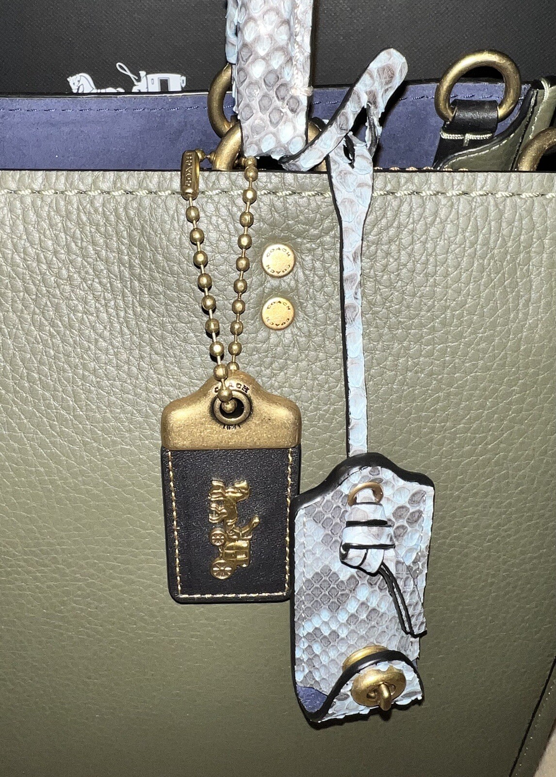 Coach 1941 MTO Rogue Bag In Colorblock With Snakeskin Detail, Style 59997, NWT!