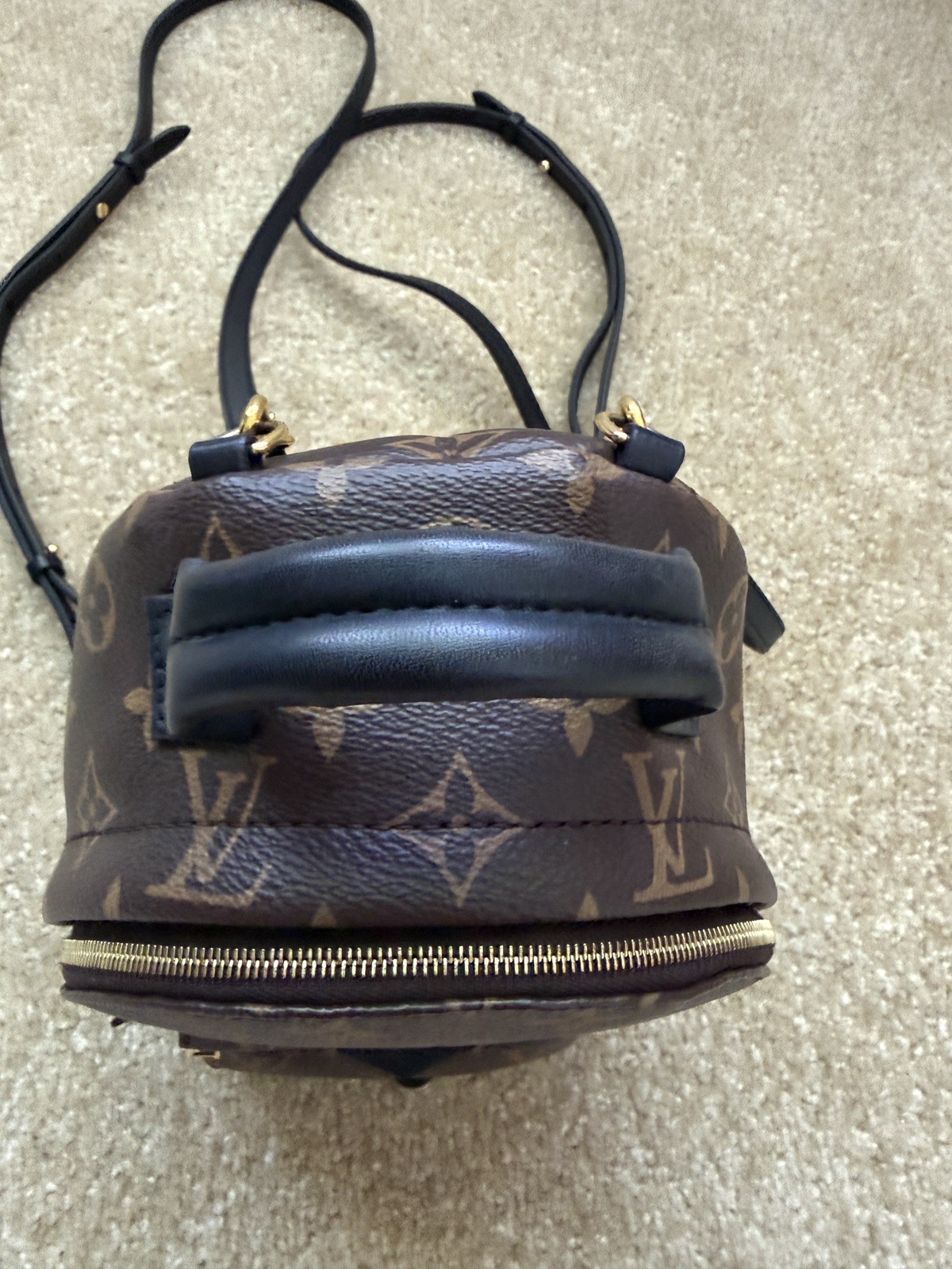Louis Vuitton Palm Springs Backpack Mini Brown Canvas Monogram