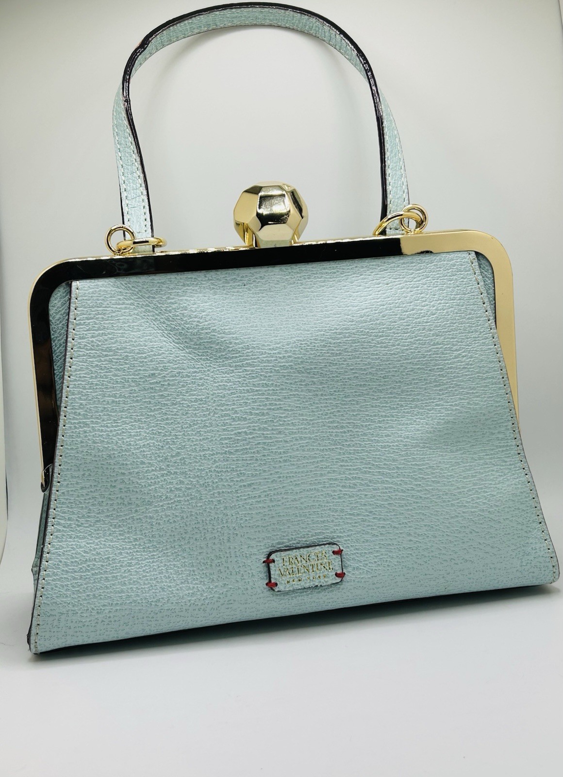 Frances Valentine Jackie Frame Light Aqua Boar Skin Handbag or Crossbody Bag