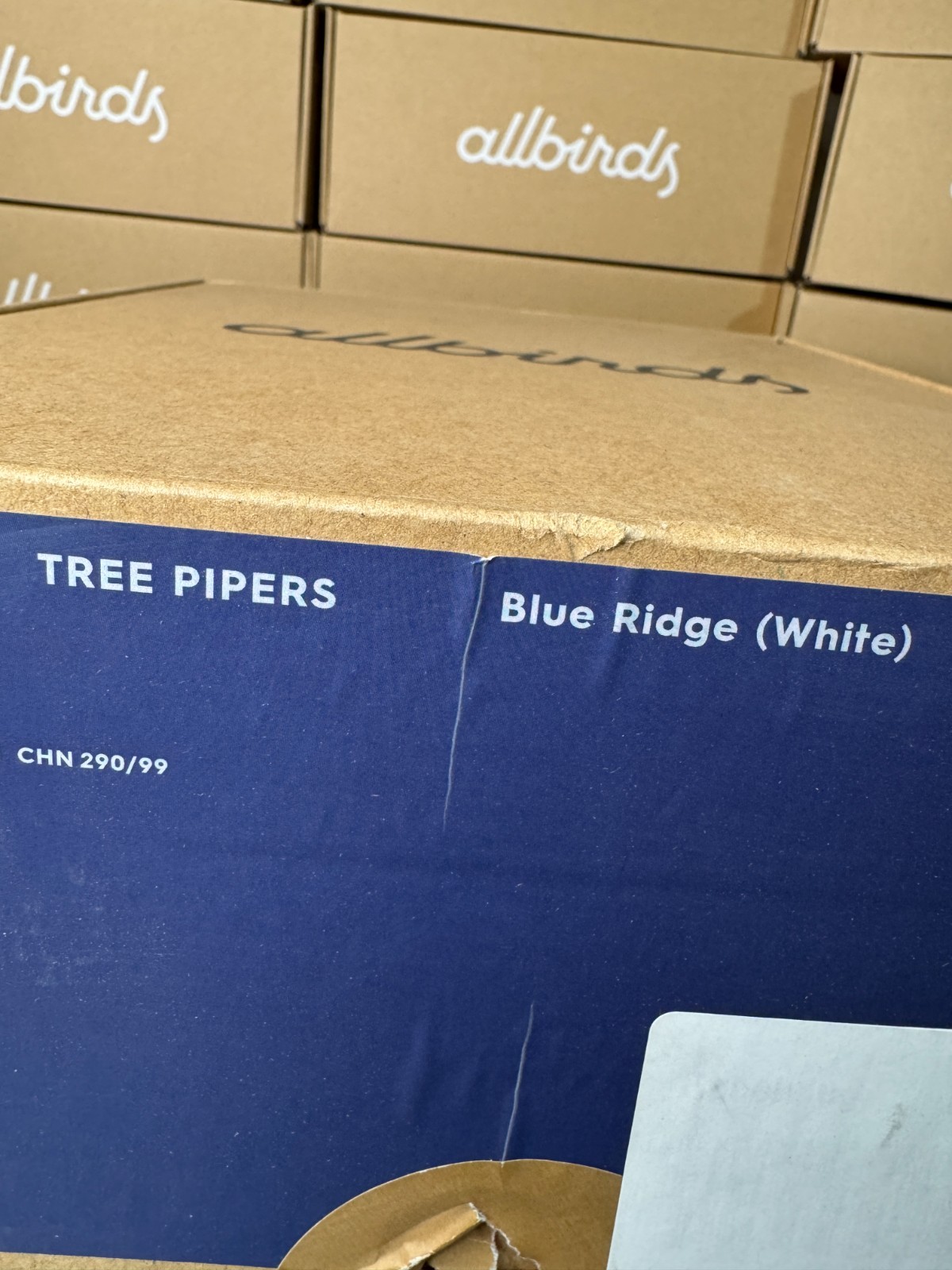 NEW ALLBIRDS TREE PIPER BLUE RIDGE SHOES CASUAL LACE UP WALKING WOMENS SIZE 8