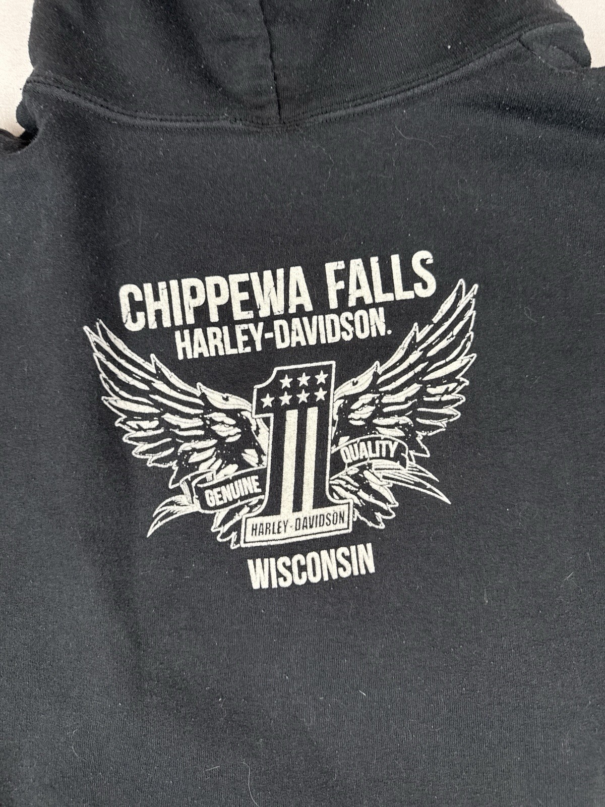 Harley Davidson Chippewa Falls Wisconsin Hoodie Eagle Biker Pullover M
