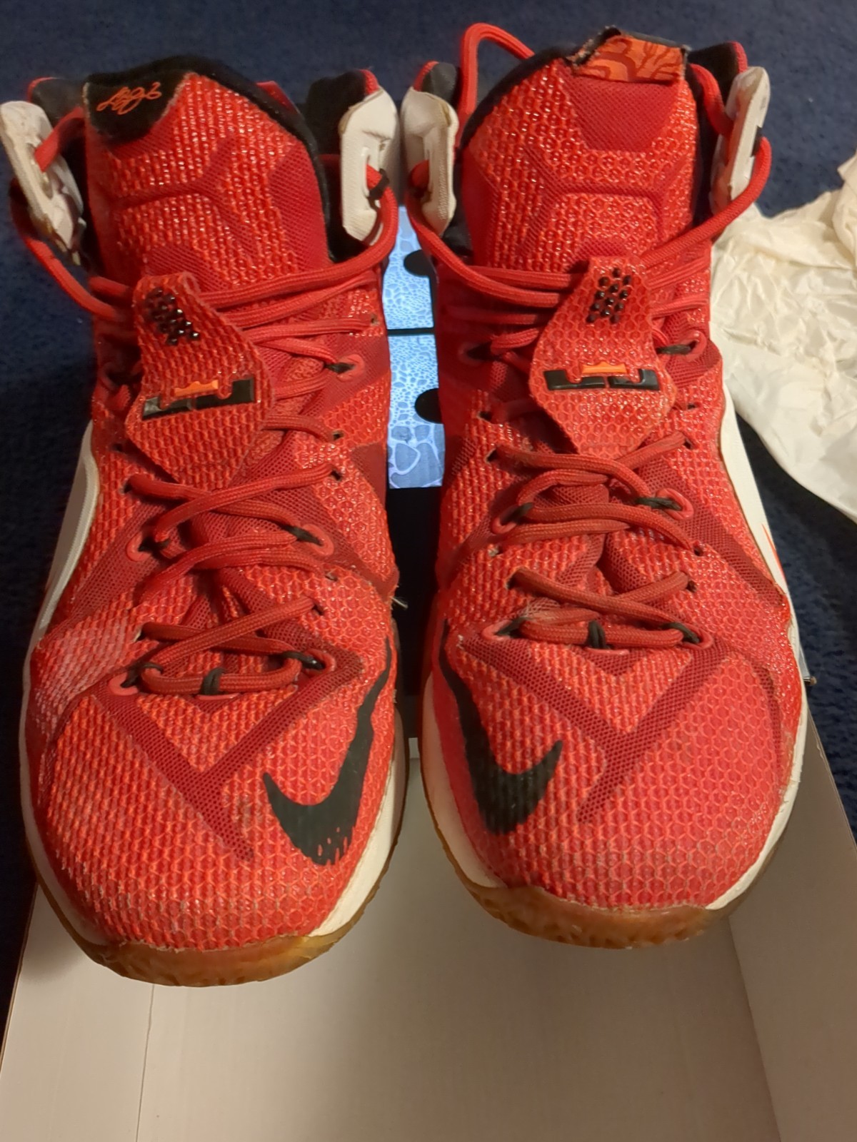 Nike LeBron James XII Men’s Size 11