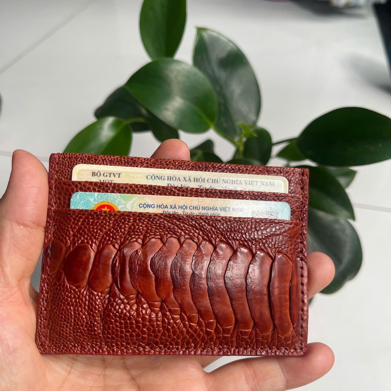 BrownGENUINE OSTRICH LEATHER SKIN CREDIT CARD HOLDER/ WALLET CARD HOLDER FOR MEN