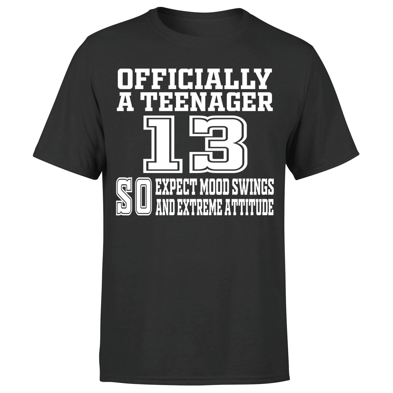 Officially A Teenager For Adults Birthday Gift Mens T-Shirt#P1#OR#A