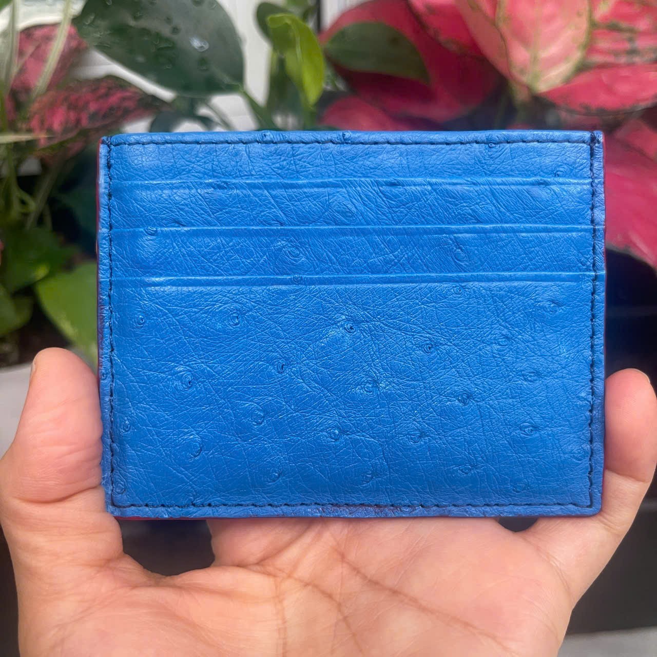 GENUINE OSTRICH LEATHER SKIN CREDIT CARD HOLDER/ WALLET CARD HOLDER FOR MEN