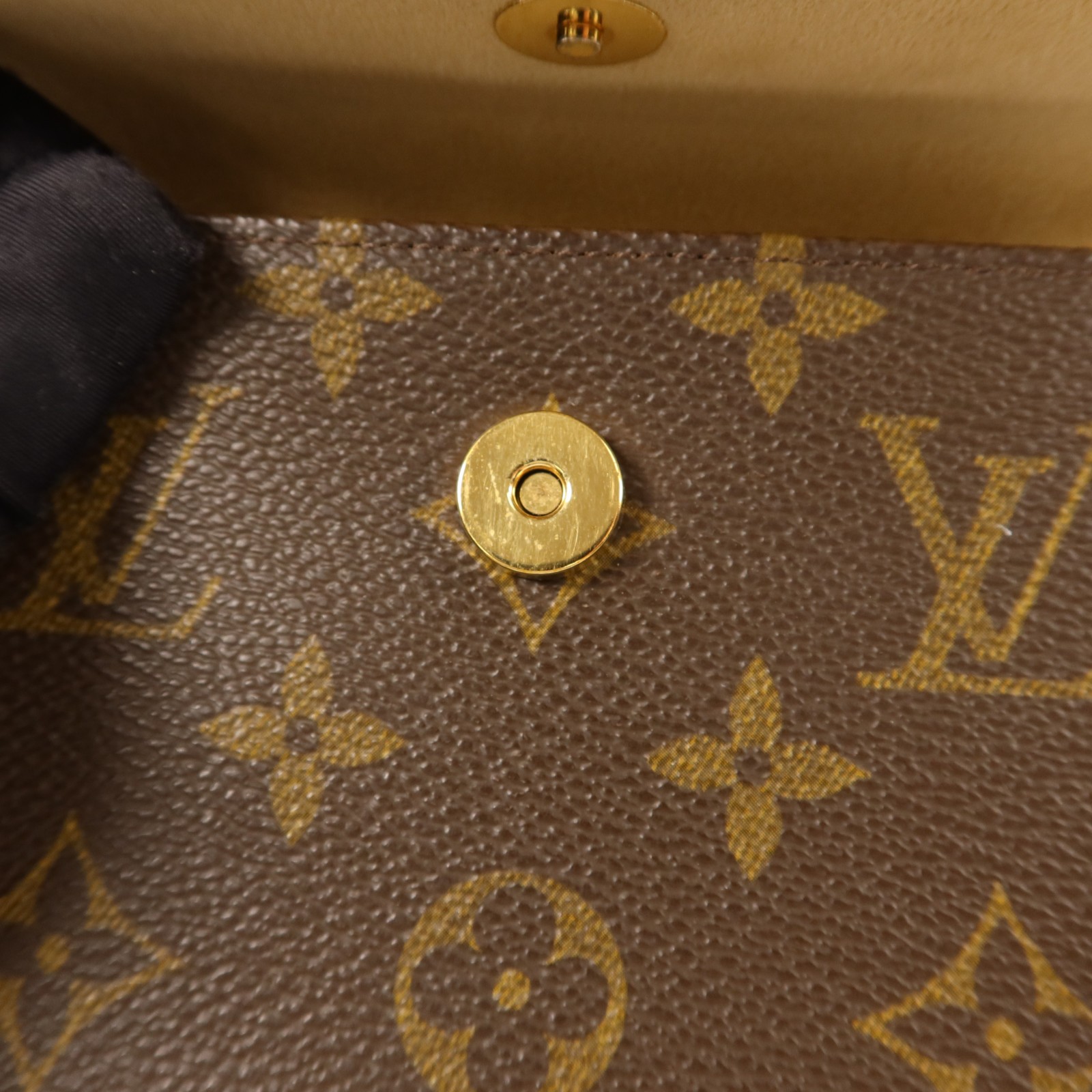 LOUIS VUITTON LV Pochette Florentine XS Waist Bag M51855/M67303 Monogram Brown