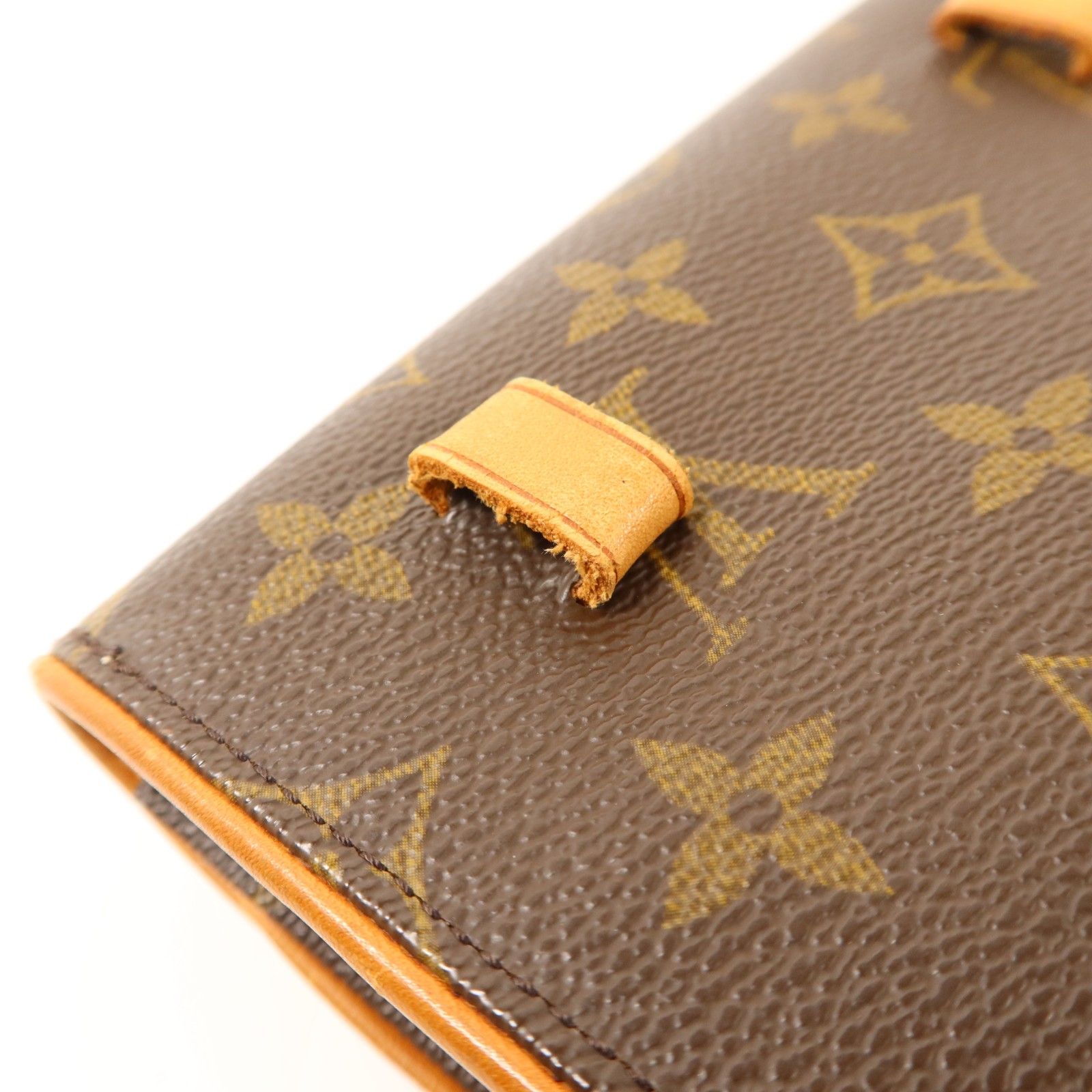 LOUIS VUITTON LV Pochette Florentine XS Waist Bag M51855/M67303 Monogram Brown