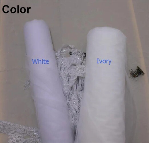 Floral Lace Wedding Veil Bridal with Comb 3 Meters Long Single Tier Head Veil