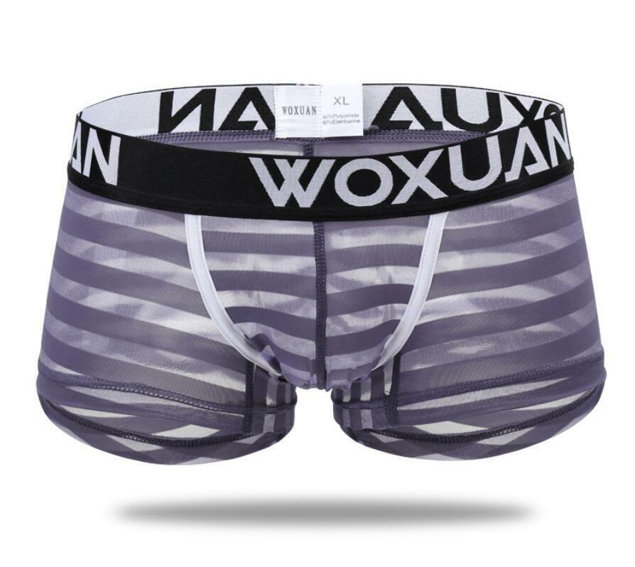 Men’s Sexy Underwear Transparent Underpants Boxers Mesh Shorts Pouch Briefs