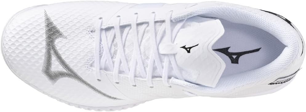 MIZUNO Table tennis Shoes WAVE DRIVE EL 2 81GA2501 White/Black