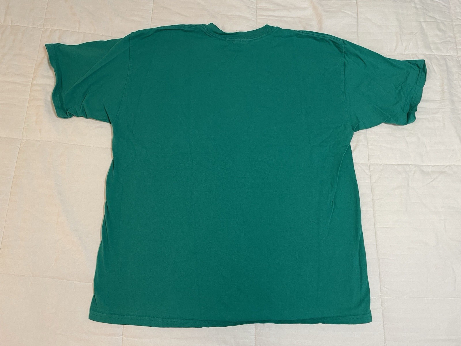 Vintage Y2k “Gay? Fine By Me” Comedy Humor Novelty Green T Shirt XL 2000s EUC