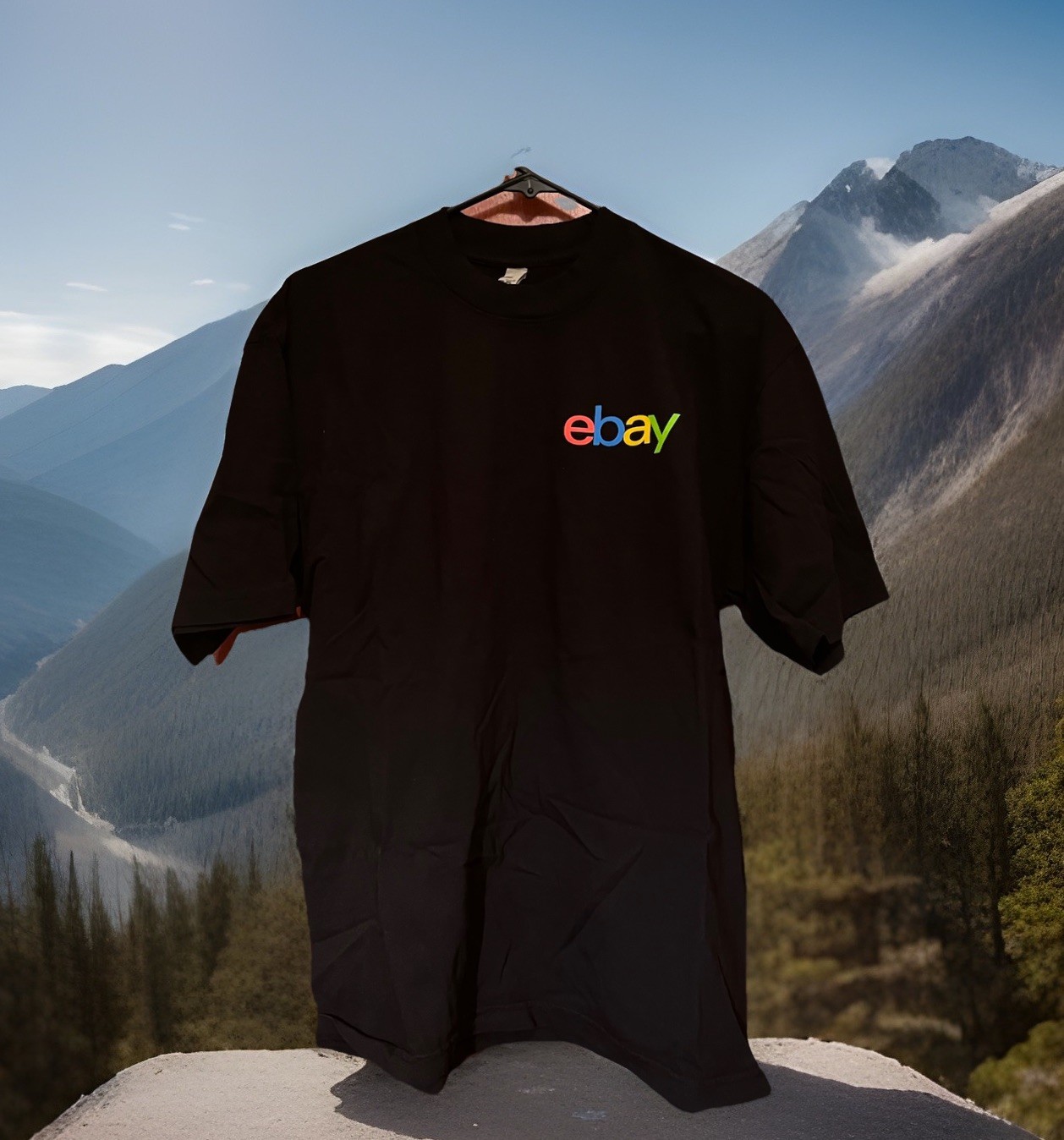 Ebay Logo Black T-Shirt Men XL Los Angeles Apparel 30th Anniversary Reseller