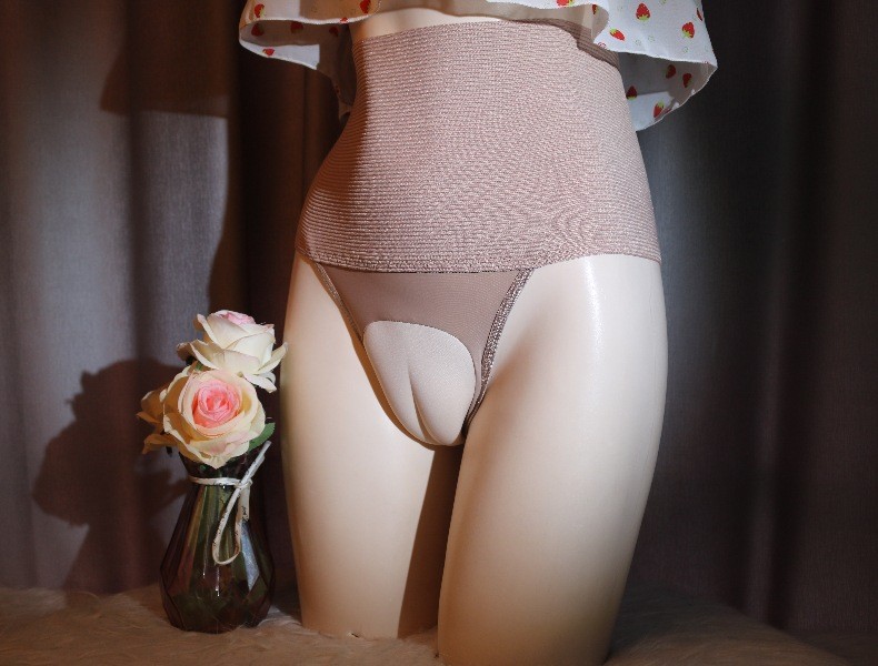 Crossdresser High Waist Control Briefs Tuck Panties Shapewear 1Pc