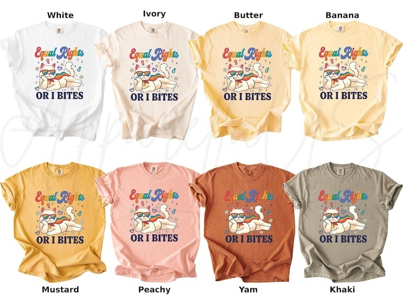 Comfort Colors Pride Month Shirt, Equal Rights Or I Bites Cat Shirt, LGBTQ Shir