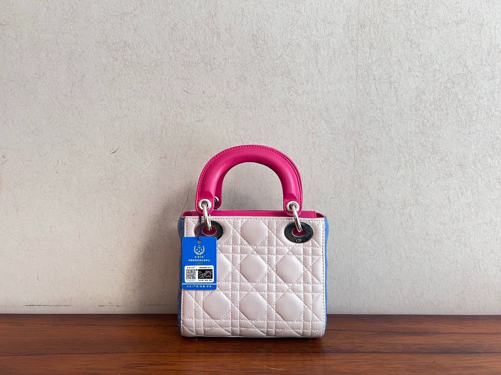 Dior Pre-Owned Authentic Backpack Colorblock Sheepskin Free Tracked Shipping