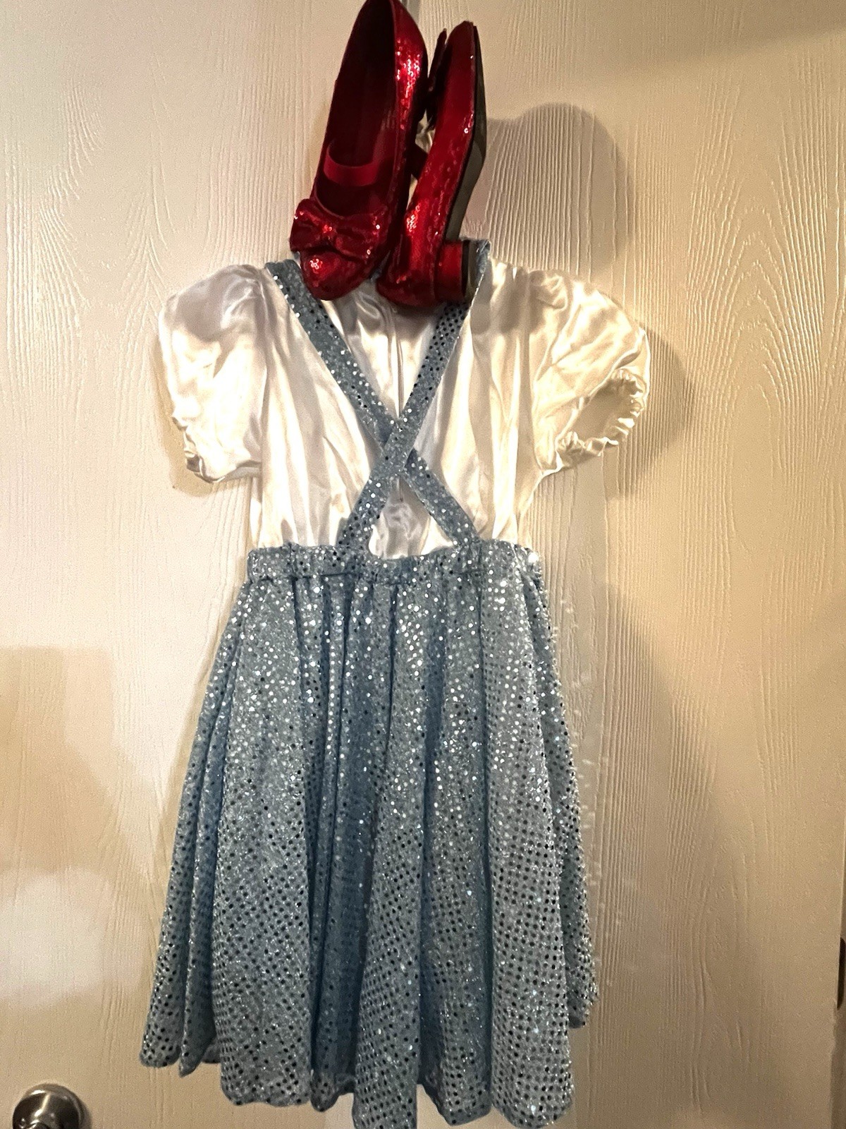 Girls 8/10 Wizard Of Oz Dorothy Costume