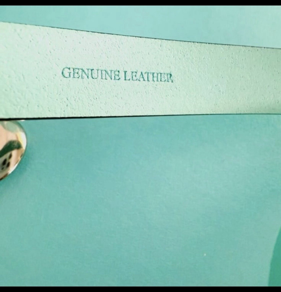 Tiffany & Co. Genuine Leather Dog Leash Swivel Hook Clasp Turquoise