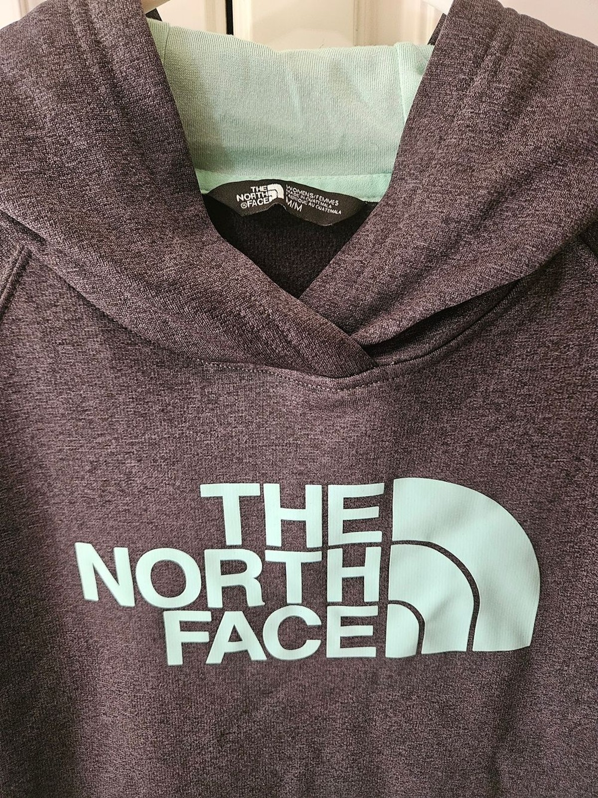 TNF Hoodie Charcoal Gray Blue Green Logo Gorpcore Sporty Casual Outdoor Granola