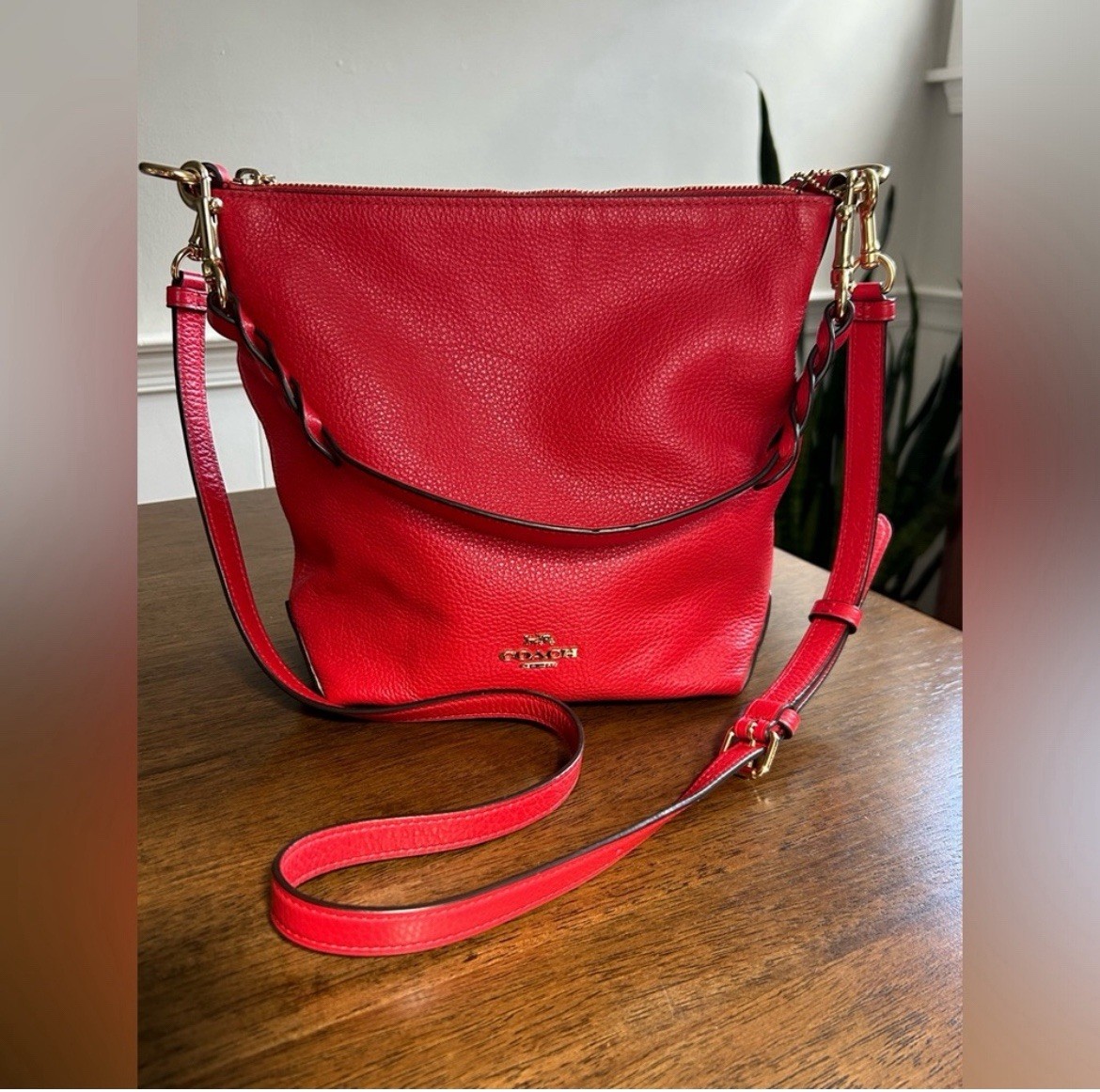 COACH Mini Abby Duffel Shoulder Crossbody Bag RED Pebble Leather