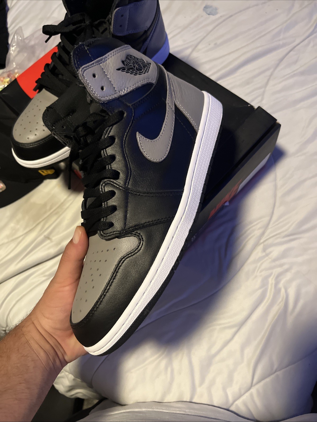 Air Jordan 1 Shadow 2018