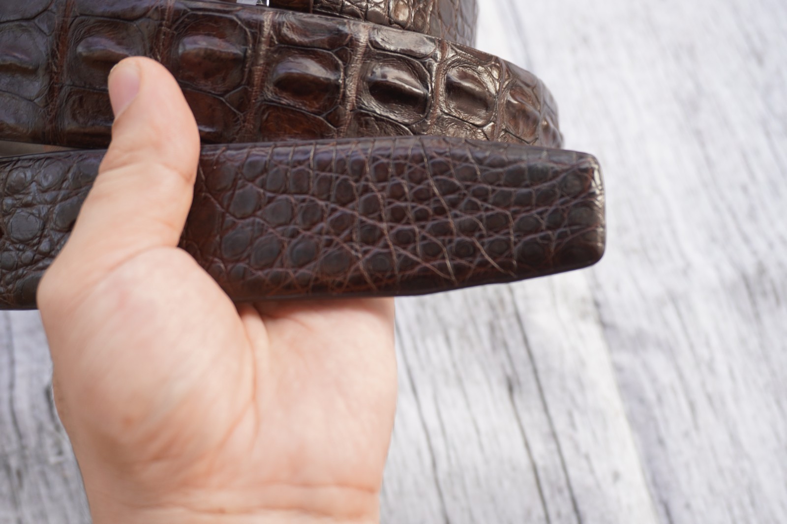 Brown Genuine Crocodile Hornback Leather Skin Men’s Belt W 1.3 inch #T34