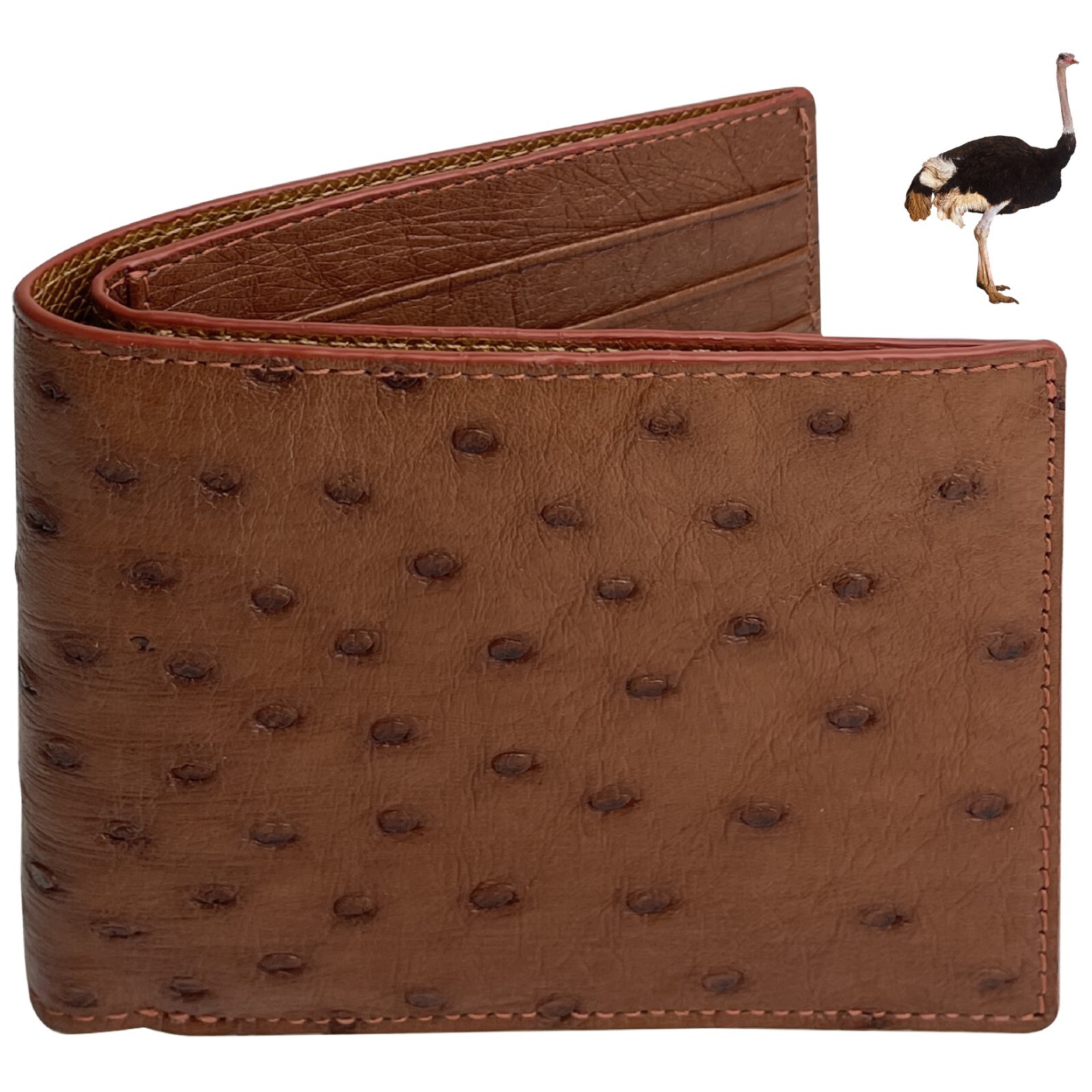 Real Ostrich Leather Brown Bifold Wallet Men’s Skin Wallet Father’s Day
