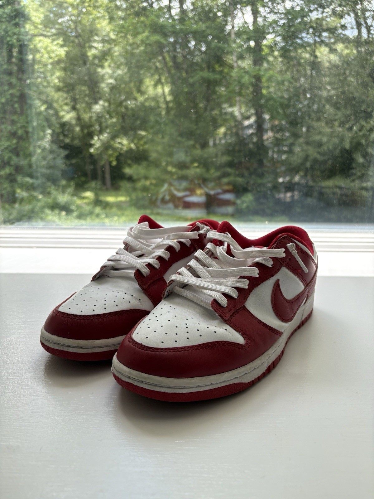 Nike Dunk Low Team Red/White Leather Low Top Men’s Sneakers DD1391-601