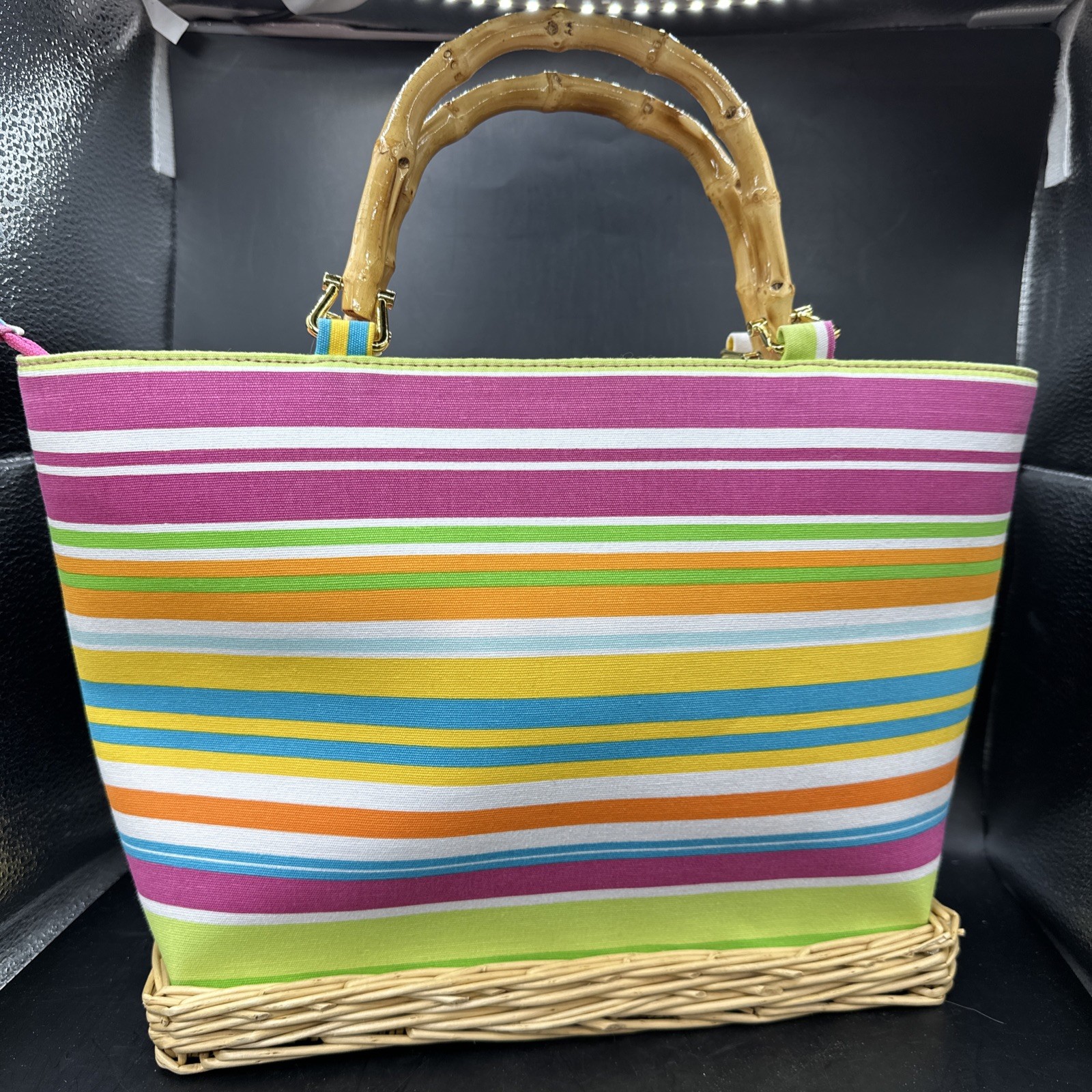 Cappelli Straworld Vintage Pastel Stripe Purse Handbag Bamboo Handles