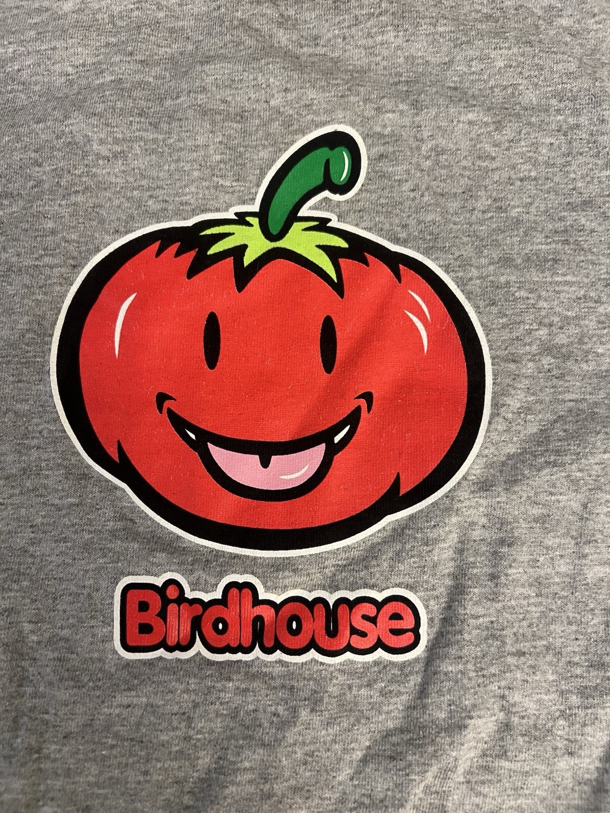 Birdhouse Skateboards Steve Berra Tomato T Shirt Large