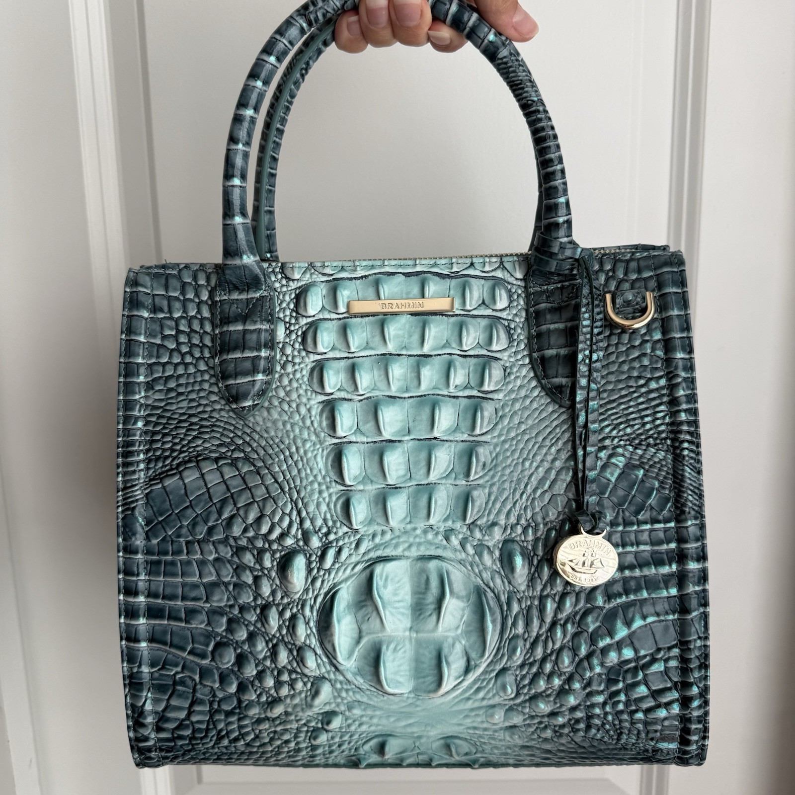 Brahmin Small Caroline Spearmint Green Ombre Satchel Handbag