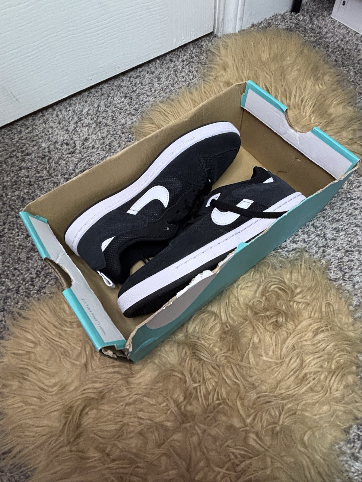 Nike SB Alleyoop (GS) Black/White Suede Low Top Sneakers Kids 6.5Y CJ0883-001