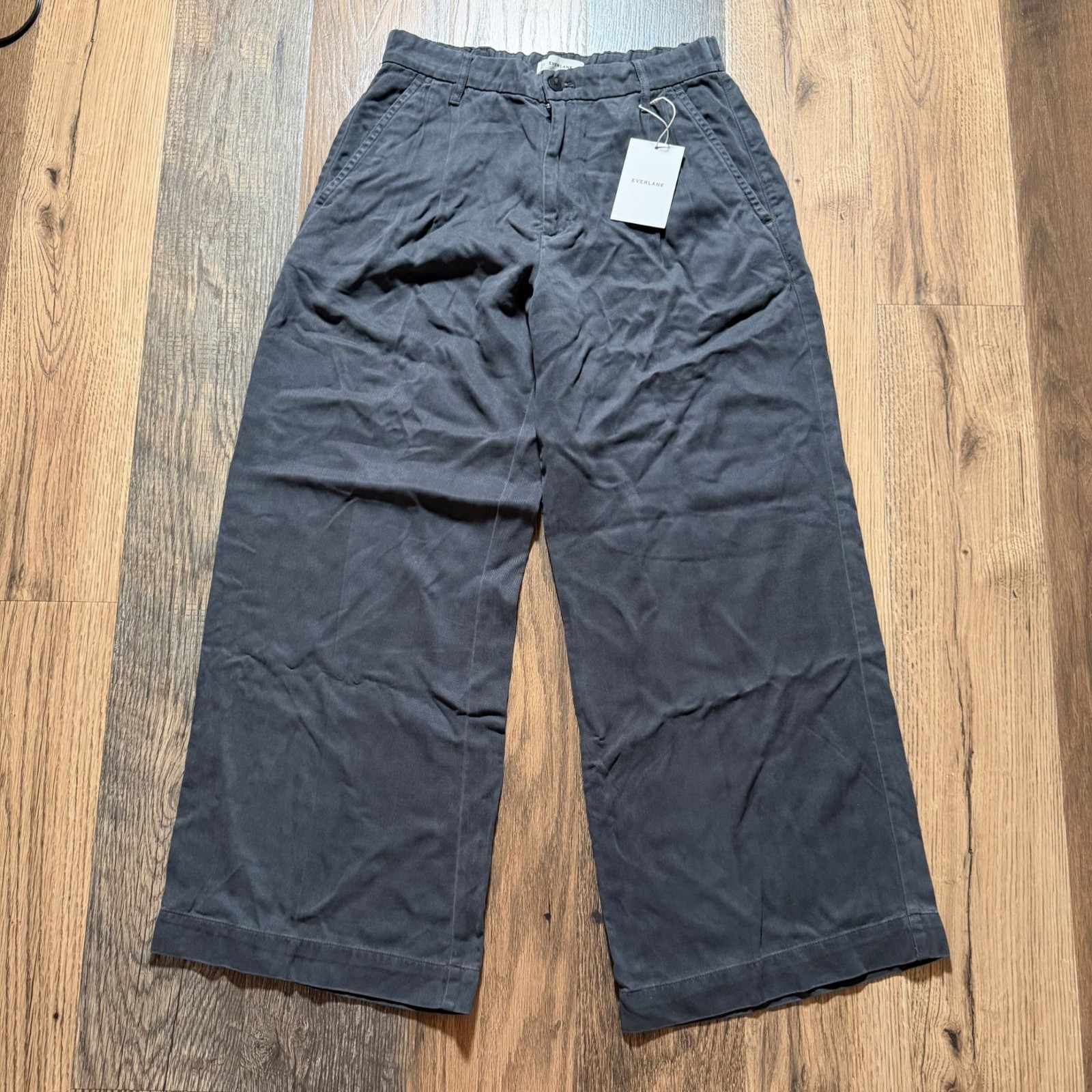 Everlane The Tencel Twill Pleated Chino Women’s Size 6 in Forged Iron NWT!