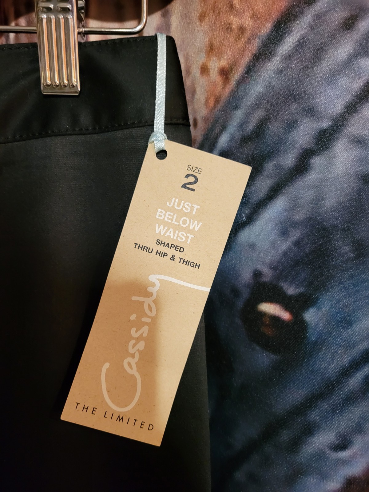 the limited cassidy fit pants size 2