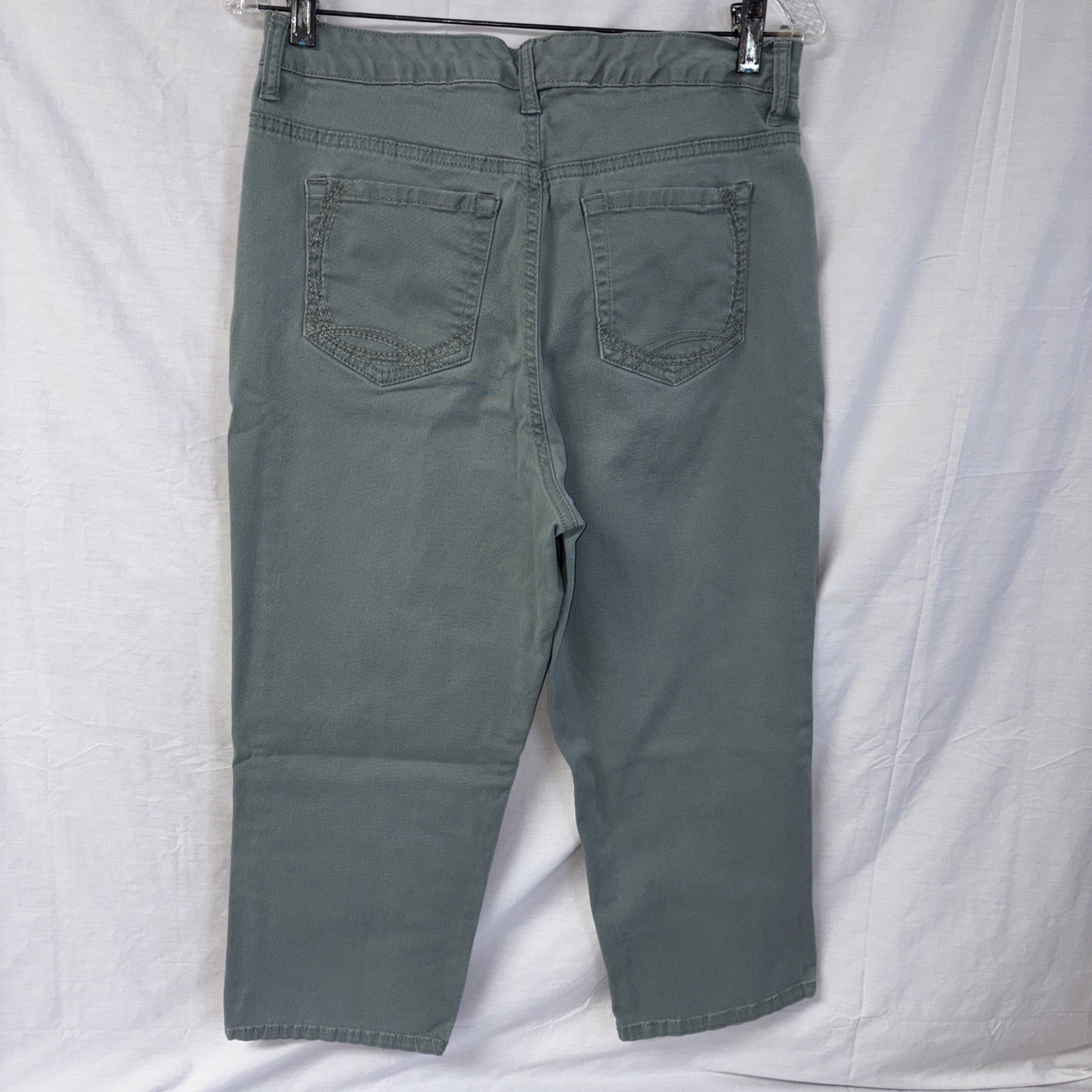 GLORIA VANDERBILT Amanda Capri Womens 10 FROSTED GLASS Classic Rise – PRE-OWNED