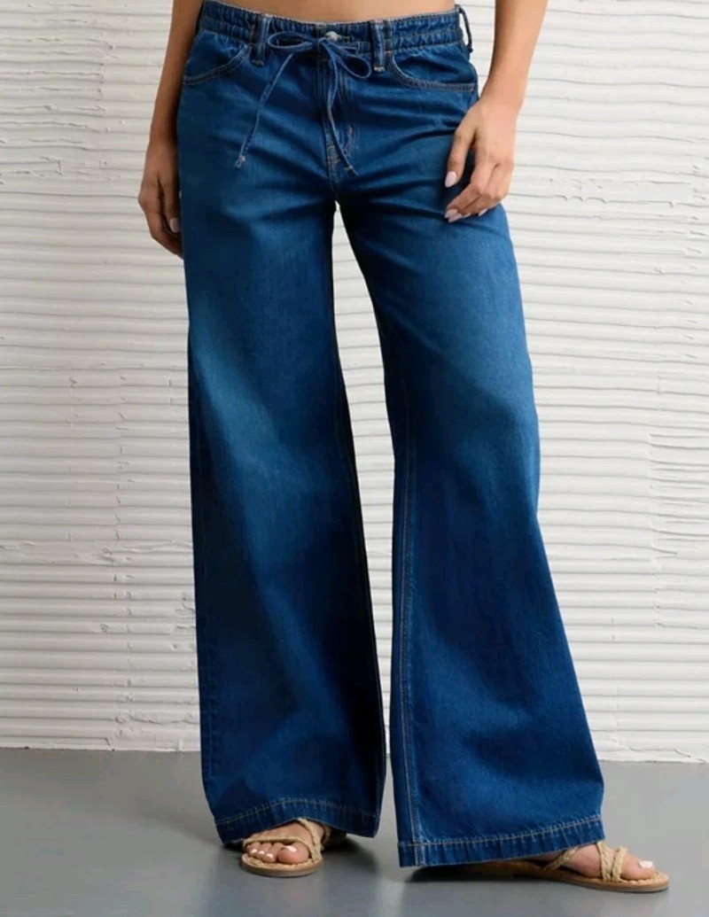 American Eagle Strigid Low Rise Wide Leg Drapey Denim Jeans Size 4