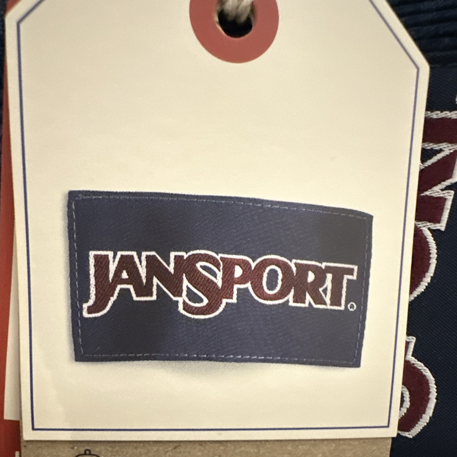 JanSport Cross Town Plus Remix 17″ Backpack – Navy Blue: High School