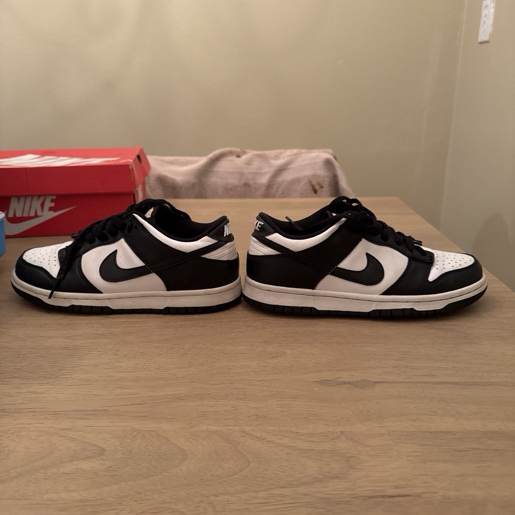 Nike Dunk Low (GS) Kids Athletic Sneaker 5.5Y Black/White CW1590-100