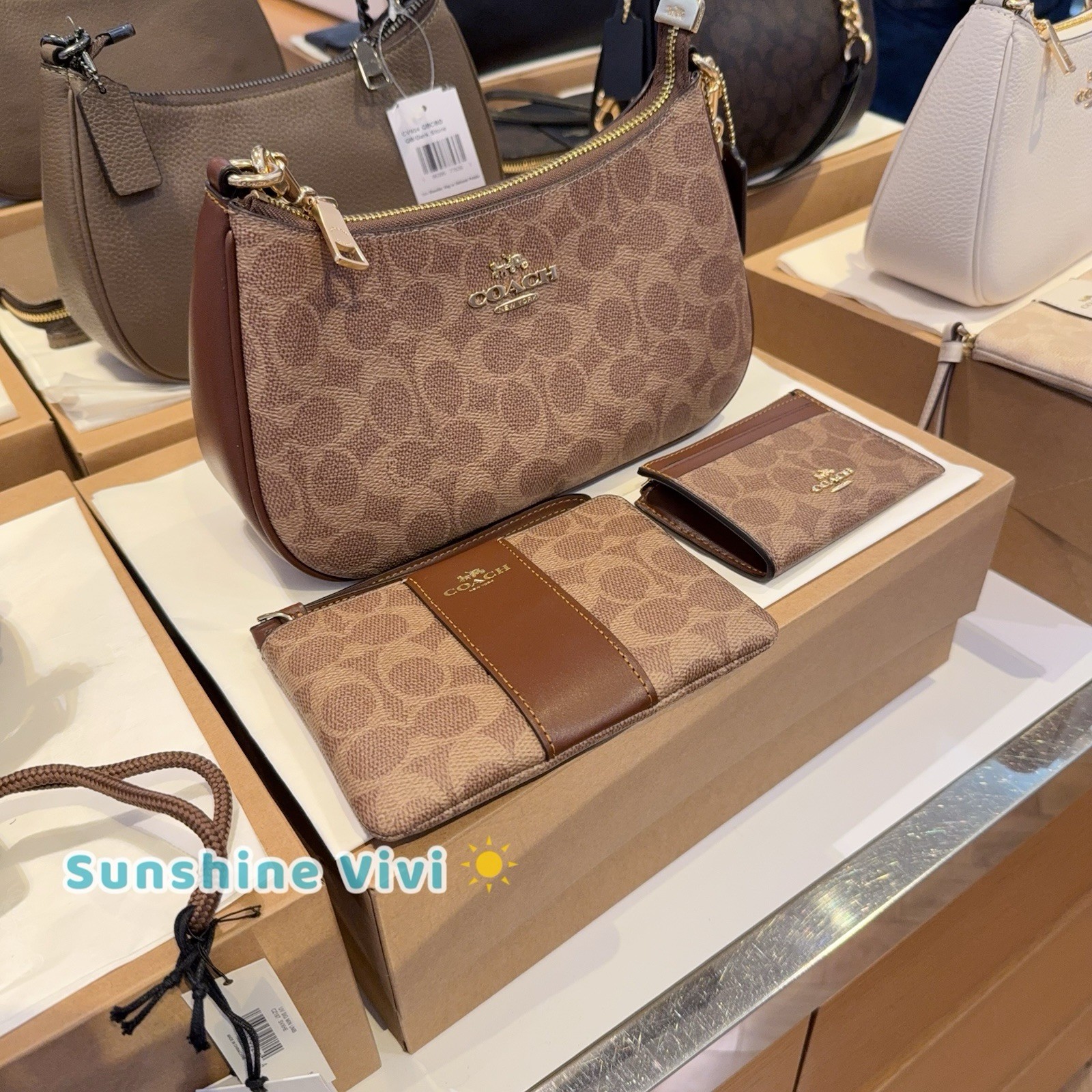 NWT Bundle Coach Teri Shoulder Bag CV933 & CW854 Wristlet & CW870 ID Case BROWN