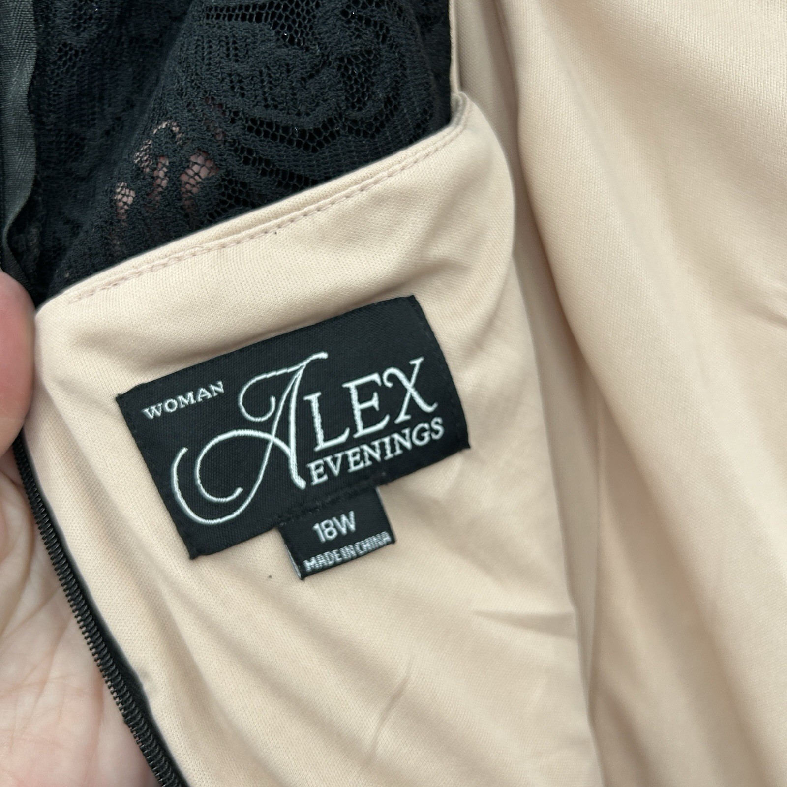 Alex Evenings Elegant Beaded Lace Evening Dress 18W Gala Mother of Bride Glam