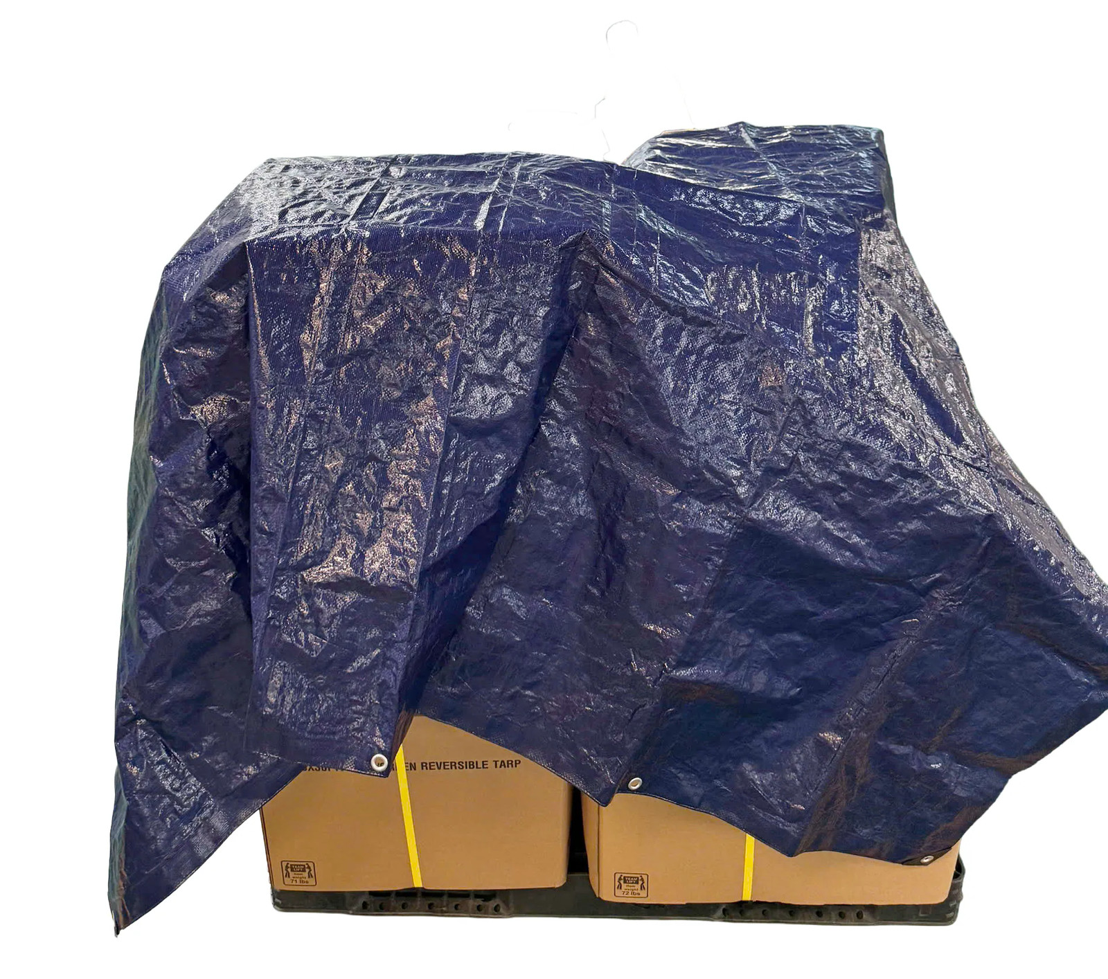 Project Source 30-ft x 50-ft Blue Waterproof Standard Polyethylene 5-mil|120508