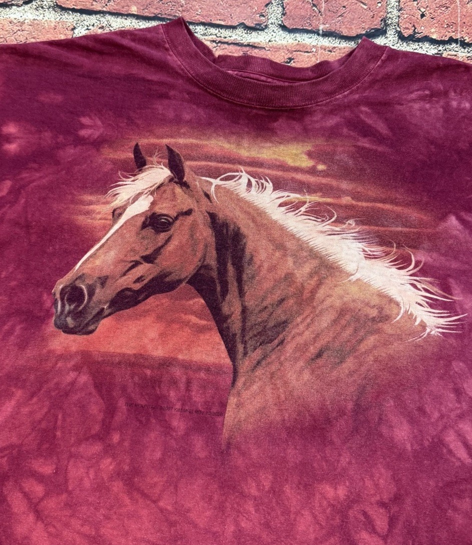 The Mountain Horse T-Shirt Men’s Large Y2K Nature Art Tie Dye 2007 Kim McElroy
