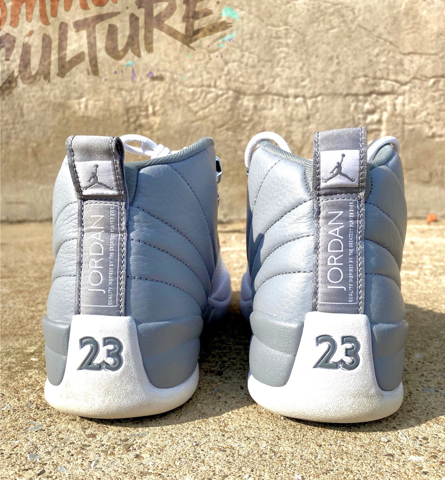 Nike Air Jordan 12 Retro Stealth Size 10 Grey White CT8013-015 (No Box)