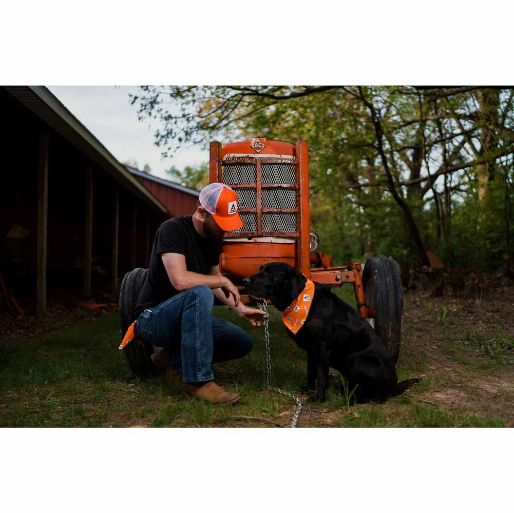Allis Chalmers Logo White Mesh Back Adult Cap with Snap Adjustable Closure NAOWM