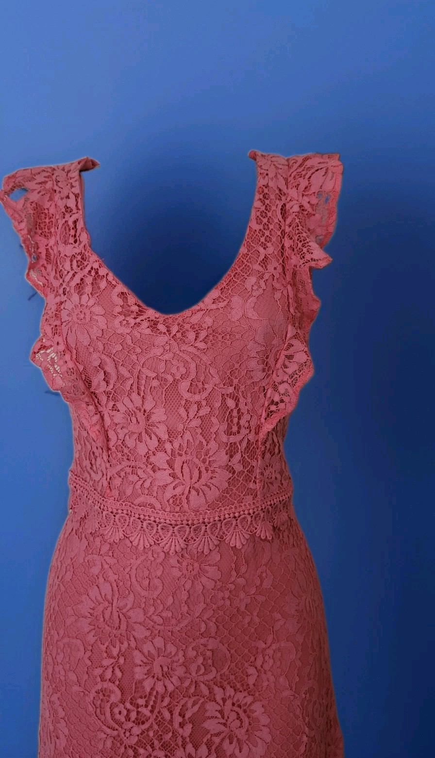 Dorothy Perkins Pink Lace Embroidered Party Wedding Occasions Dress UK Size 14
