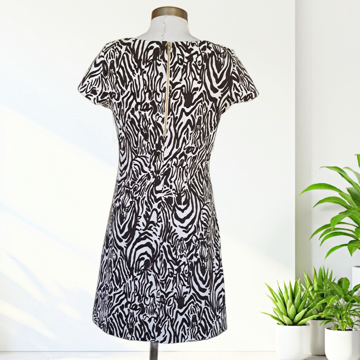LILLY PULITZER Layton Zebra Shift Dress Medium Brown Zebra Full Entourage Pocket