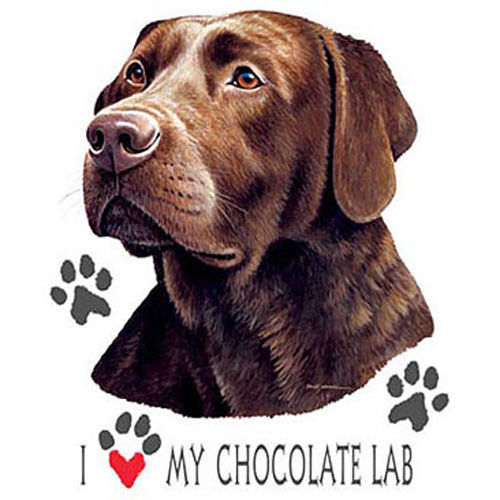 I Love My Chocolate Labrador Brand New Tee Lab White Pink Gray T’shirts