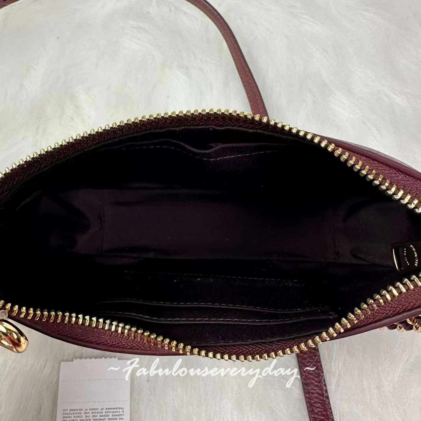 Coach Teri Mini Crossbody Bag With Crystals In Leather/Gold/Dark Wine CCE43 NWT