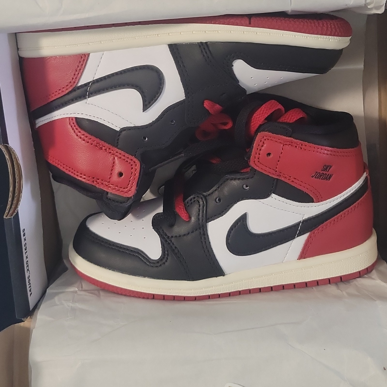 Jordan Air Jordan 1 Retro High OG TD 10C Leather White/Black/Red FD1413-106