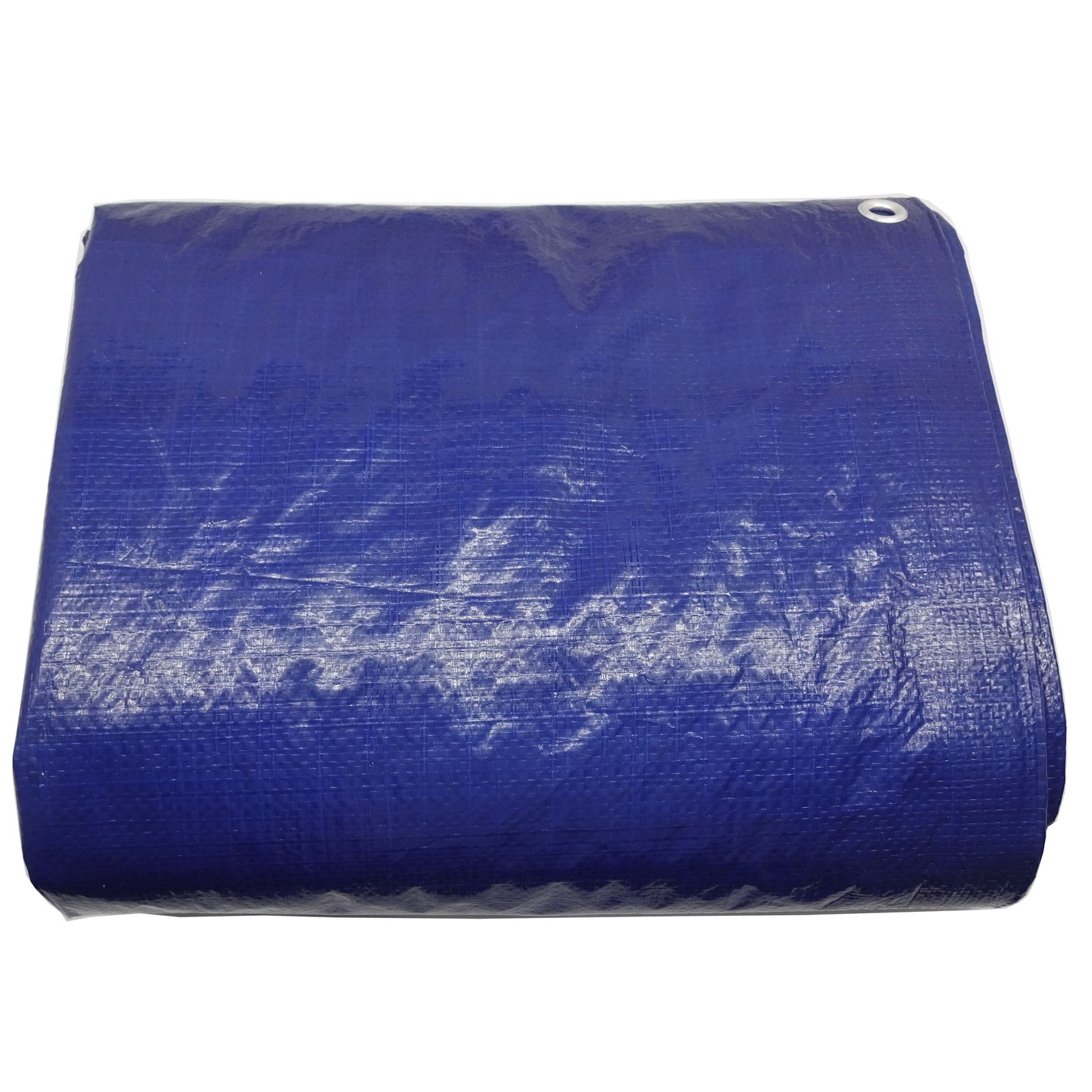 Project Source 30-ft x 50-ft Blue Waterproof Standard Polyethylene 5-mil|120508