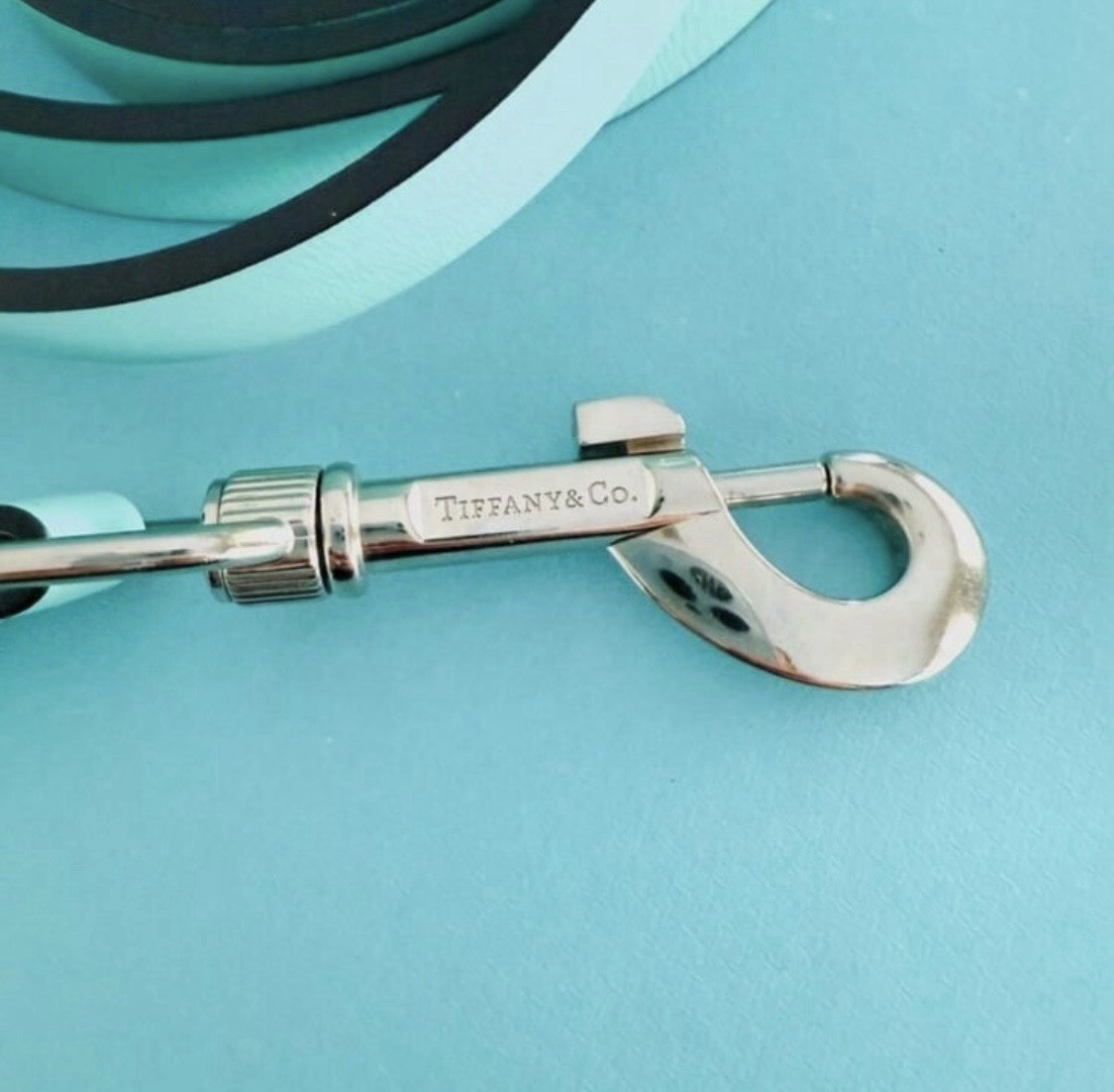 Tiffany & Co. Genuine Leather Dog Leash Swivel Hook Clasp Turquoise